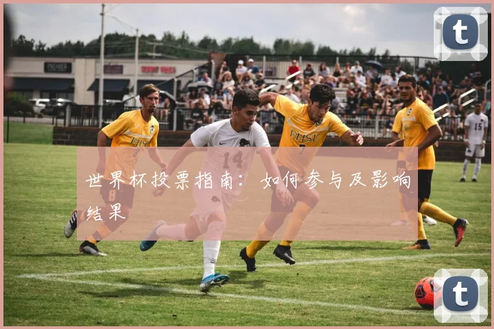 世界杯投票指南：如何参与及影响结果